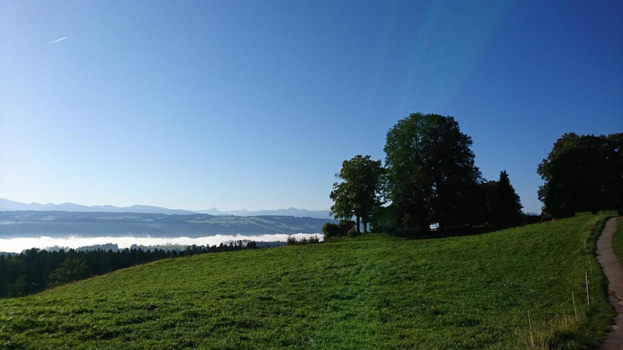 Kuhnest Daire Scheidegg Dış mekan fotoğraf