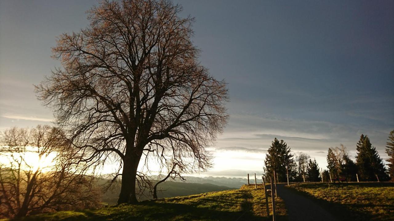 Kuhnest Daire Scheidegg Dış mekan fotoğraf